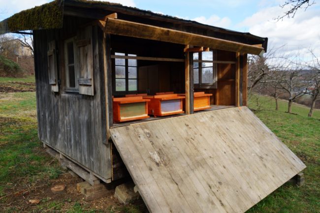 Impulshaus Engen_Bienenhaus