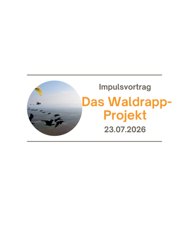Kopie von Kopie von Homepage Dahlhaus(1)